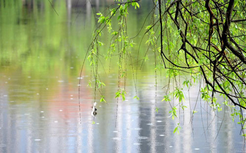 雨中的守护者 —— 金昌珍珠棉的应用实践